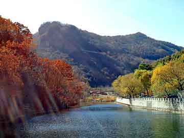 管家婆免费正版资起大全，石家庄岩棉保温板